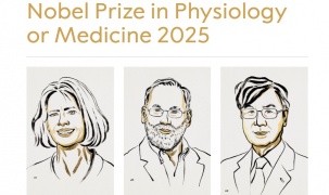 Nobel Y sinh 2025 vinh danh 3 nhà khoa học với nghiên cứu miễn dịch