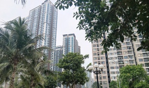 Giữ nguyên 2% thuế chuyển nhượng bất động sản: Ai được lợi trong cuộc chơi lướt sóng?