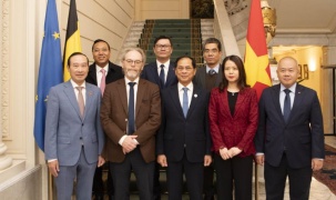 Việt Nam đề nghị Bỉ phê chuẩn EVIPA trong năm 2025