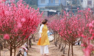 Người lao động được nghỉ Tết Nguyên đán Bính Ngọ 9 ngày liên tục