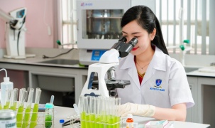 Nhiều chính sách đột phá đào tạo nhân lực chất lượng cao theo chuẩn quốc tế