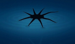 Phát triển robot mềm có thể di chuyển trên mặt nước