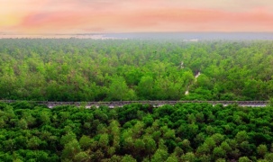 Hải Phòng xây dựng quy định sử dụng quỹ tín dụng carbon, hỗ trợ phát triển xanh