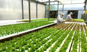 Bình Phước xây dựng nông thôn thông minh