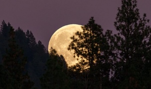 Châu Âu và tham vọng 