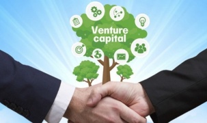 Quy định về Quỹ đầu tư mạo hiểm quốc gia và quỹ đầu tư mạo hiểm địa phương