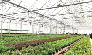 Chuyển đổi số - Động lực mới cho hành trình xoá đói giảm nghèo