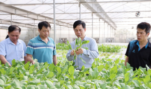 ‏Vai trò của khoa học và công nghệ trong giám sát và phản biện xã hội về xây dựng nông thôn mới‏