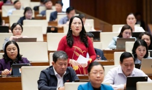 Đại biểu Quốc hội đề nghị tấn công mạnh tội phạm công nghệ cao, hàng giả, thực phẩm bẩn