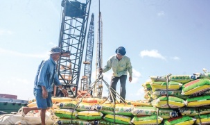 Dịch chuyển thương mại điện tử về Cần Thơ: Tín hiệu tăng tốc của trung tâm vùng