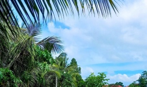 Nhiều nông dân thoát nghèo nhờ giải pháp nhân rộng mô hình canh tác lúa chất lượng cao, phát thải thấp