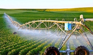 Đưa khoa học công nghệ trở thành động lực phát triển nông nghiệp