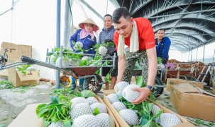 Xã Trường Tân bứt phá với nông nghiệp công nghệ cao