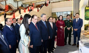 Khẳng định vị thế trí tuệ Việt trên bản đồ vật liệu công nghệ cao toàn cầu