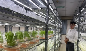 Khoa học công nghệ dẫn dắt nông nghiệp Việt Nam vượt “giới hạn” tăng trưởng truyền thống