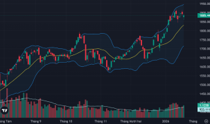 Dòng tiền bắt đáy chọn lọc