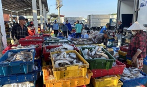 Hoàn thiện khuôn khổ pháp lý, tăng cường quản lý nhà nước, bảo vệ và phát triển bền vững nguồn lợi thủy sản