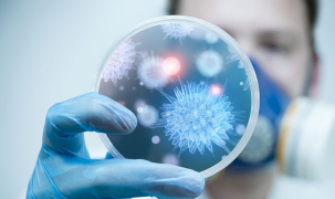 Bộ Y tế khuyến cáo người dân hạn chế đến khu vực có dịch bệnh do virus Nipah