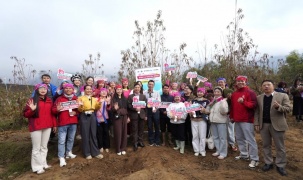 Thương mại điện tử mở lối cho nông sản Lai Châu vươn ra thị trường