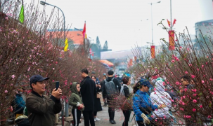 Thời tiết Tết Nguyên đán 2026: Miền Bắc rét về đêm, miền Nam nắng ráo, ít mưa