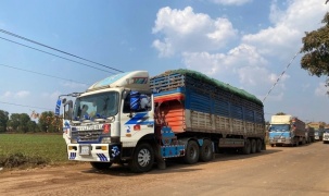 Thủ tướng chỉ đạo tháo gỡ vướng mắc trong triển khai Nghị định 46/2026/NĐ-CP về an toàn thực phẩm