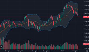 Thị trường tiếp tục “chìm” sâu, cổ phiếu blue-chips “ăn vạ”