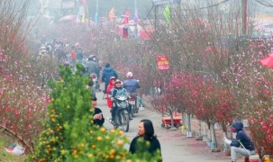 Chăm lo, hỗ trợ Nhân dân đón Tết Nguyên đán Bính Ngọ 2026 vui tươi, an toàn, tiết kiệm