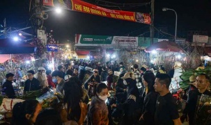 Giáp Tết Bính Ngọ, chợ hoa lớn nhất Hà Nội đông nghịt
