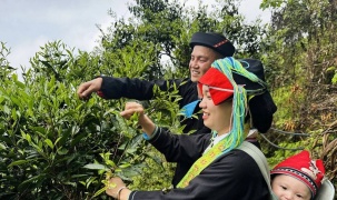 Văn hóa Việt thắp sáng kinh tế xanh