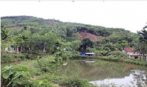 Căn cứ xác định là đất vườn, ao gắn liền đất ở