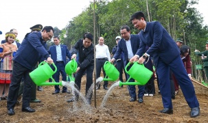 Chủ tịch nước dự lễ phát động Tết trồng cây năm 2026