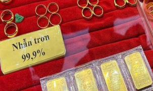 Giá vàng miếng SJC bất động, giá vàng nhẫn 9999 tăng nhẹ