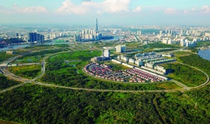 Lập đường dây nóng tiếp nhận, xử lý thông tin vi phạm quản lý và sử dụng đất đai