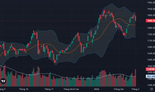 Vốn ngoại tranh thủ bắt đáy mạnh, cổ phiếu dầu khí, hóa chất, cao su tăng rực rỡ