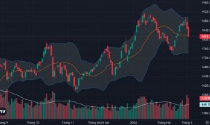 Cổ phiếu dầu khí “cháy” trở lại, tiền vẫn chặn đỡ ổn định vùng giá thấp