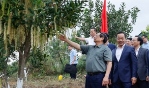 Thủ tướng Phạm Minh Chính: Cần biến núi rừng Tây Bắc trùng điệp thành của cải vật chất