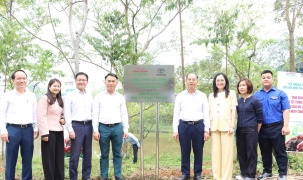 Toyota đồng hành cùng chương trình “Tết trồng cây đời đời nhớ ơn Bác  Hồ” Xuân Bính Ngọ 2026 