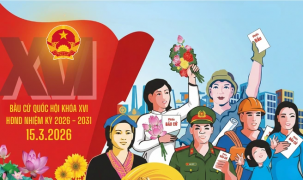 Quy trình 6 bước bỏ phiếu bầu cử Quốc hội, HĐND, cử tri cần biết