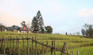 Việt Nam vào top 5 điểm đến du lịch hấp dẫn nhất thế giới năm 2026