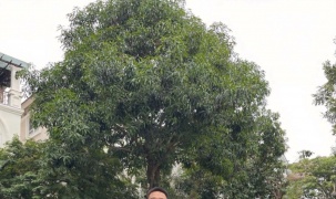 Khởi nghiệp ở tuổi 20 với VinFast VF 8, chủ xe khẳng định: Đây là quyết định đúng đắn nhất của tôi