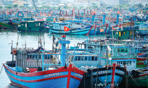 Giá dầu tăng mạnh, nhiều ngư dân “bỏ biển” chờ giải pháp