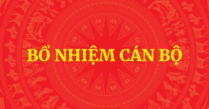 Thủ tướng Chính phủ phê chuẩn kết quả bầu Chủ tịch, Phó Chủ tịch UBND cấp tỉnh nhiệm kỳ 2026-2031