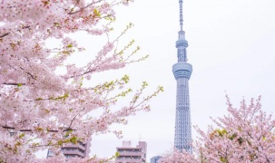 Chứng khoán châu Á tăng điểm dịp Lễ Phục Sinh, thị trường kỳ vọng eo biển Hormuz được mở lại