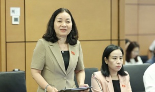 Đại biểu nêu bất cập khi dịch vụ công số 