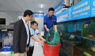 Tăng cường chuyển đổi số trong xây dựng nông thôn mới trên địa bàn tỉnh Quảng Trị