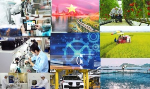 Khát vọng hùng cường và tầm nhìn mới về đại học