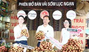 Phó Chủ tịch Bắc Ninh 'mát tay' livestream bán hơn 31 tấn vải thiều Lục Ngạn giúp bà con nông dân