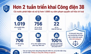 Hơn 1.000 vụ vi phạm sở hữu trí tuệ bị phát hiện sau hơn 2 tuần cao điểm triển khai Công điện 38