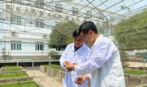 KHCN trong nông nghiệp: Chuyển từ tư duy 'làm đề tài' sang 'tạo sản phẩm'