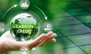 Nhu cầu trao đổi tín chỉ carbon quốc tế đang tăng mạnh